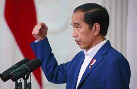 President Jokowi Says The Economy of Several Asia-Pacific Countries Has Not Recovered