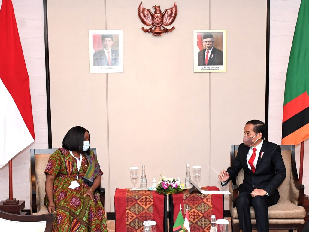 Presiden Jokowi Bahas Penguatan Ekonomi dengan Wapres Zambia