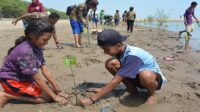 KNTI ingin penambahan anggaran terkait pemulihan ekosistem pesisir