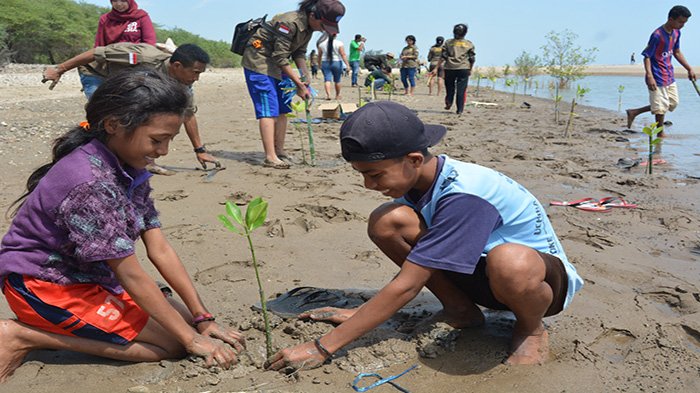 KNTI ingin penambahan anggaran terkait pemulihan ekosistem pesisir