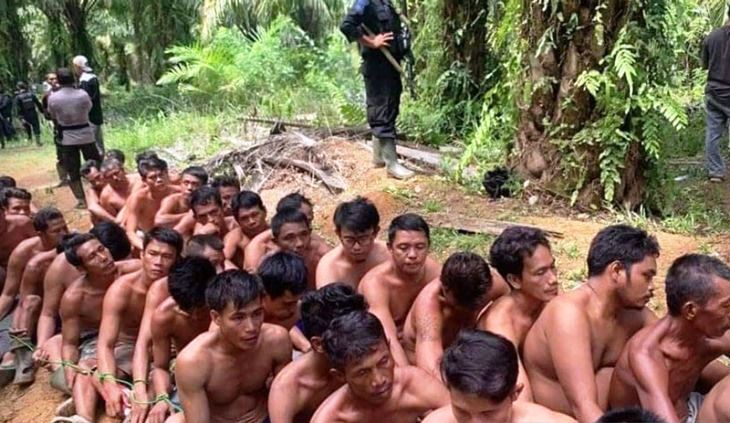 Forum kades Mukomuko pertanyakan dasar penangkapan puluhan petani