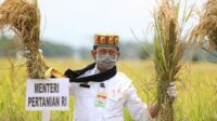 Minister of Agriculture encourages superior varieties to increase national rice production