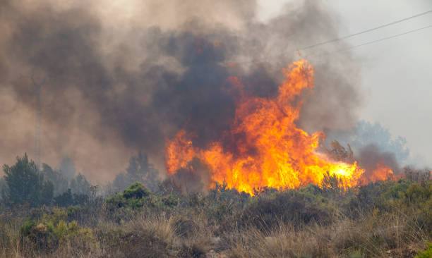 BMKG Balikpapan deteksi 8 titik panas