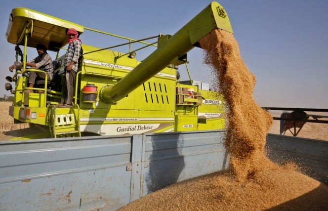 PBB, Rusia jalin pembicaraan tentang ekspor gandum