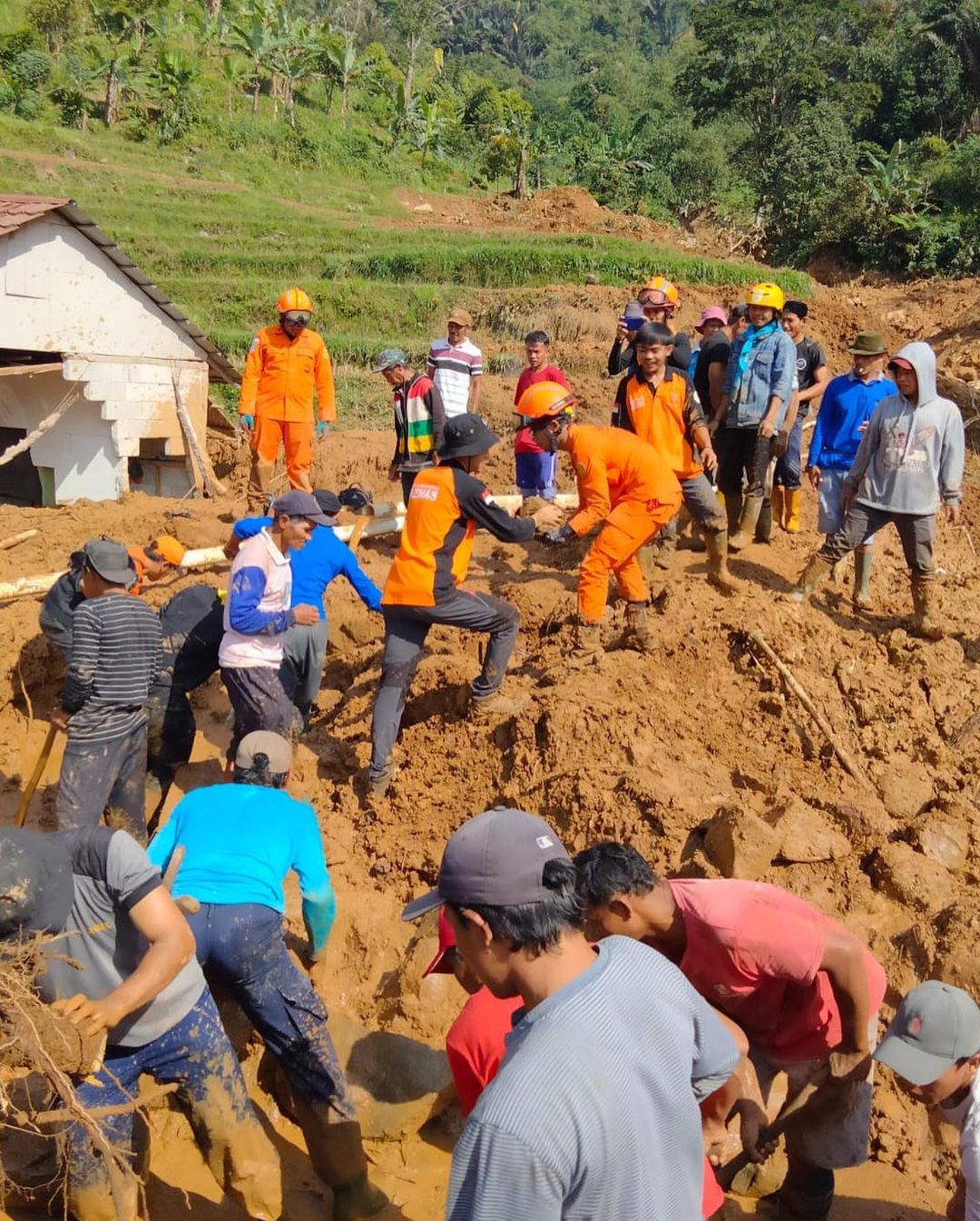 Longsor di daerah Pamijahan Bogor, Satu Warga Belum Ditemukan
