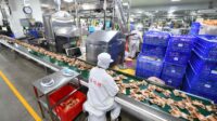 Industri makanan China tumbuh stabil selama lima bulan pertama 2022