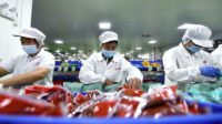 China's food industry grows steadily during the first five months of 2022