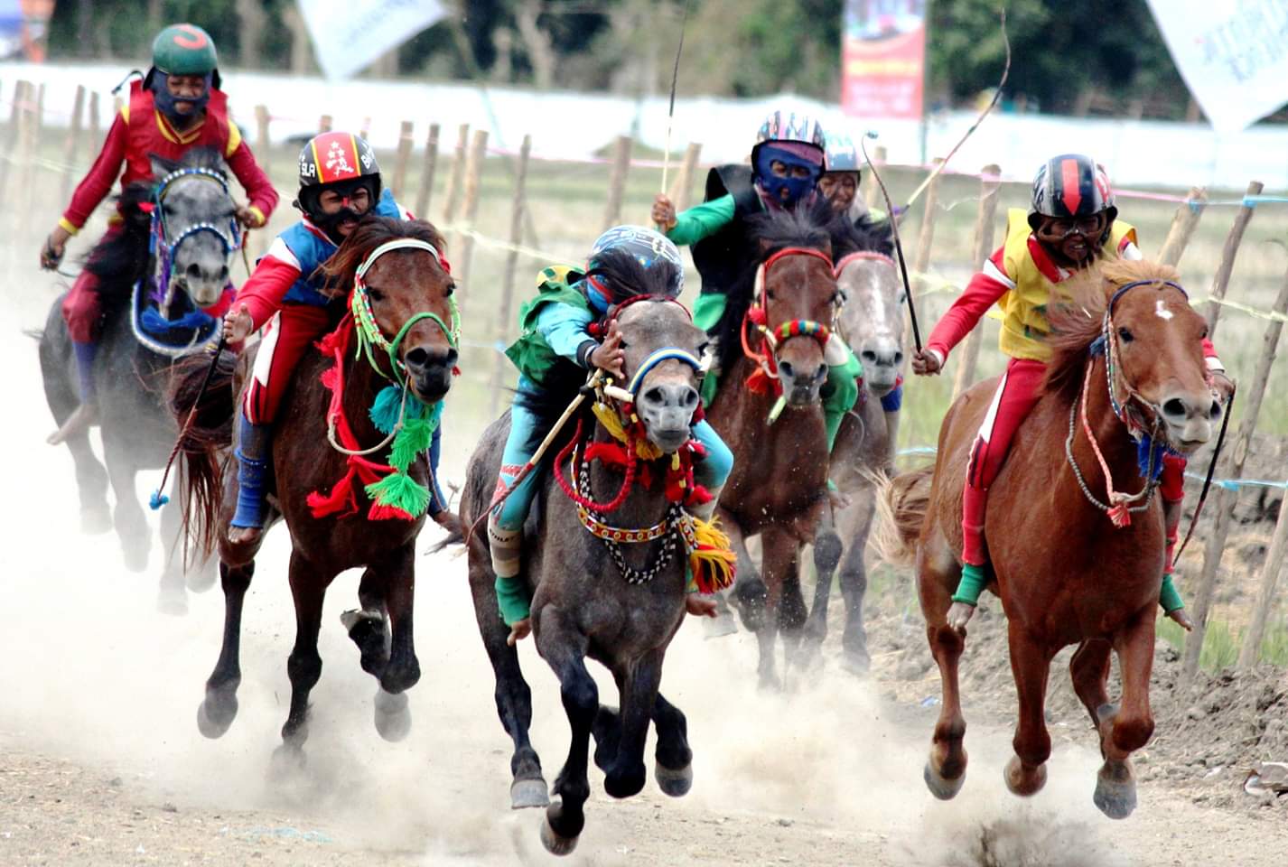 NTB holds a horse race to celebrate MXGP Samota