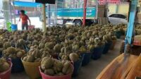 Aneh Bin Ajaib, Thailand Izinkan Warganya Pinjam Uang ke Bank Pakai Durian