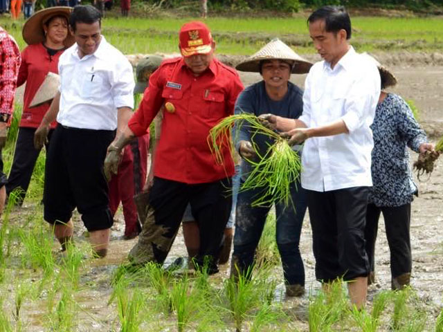 Anggaran Ketahanan Pangan Rp92,3 Triliun, Jokowi : Hasilnya Apa Setiap Tahun?