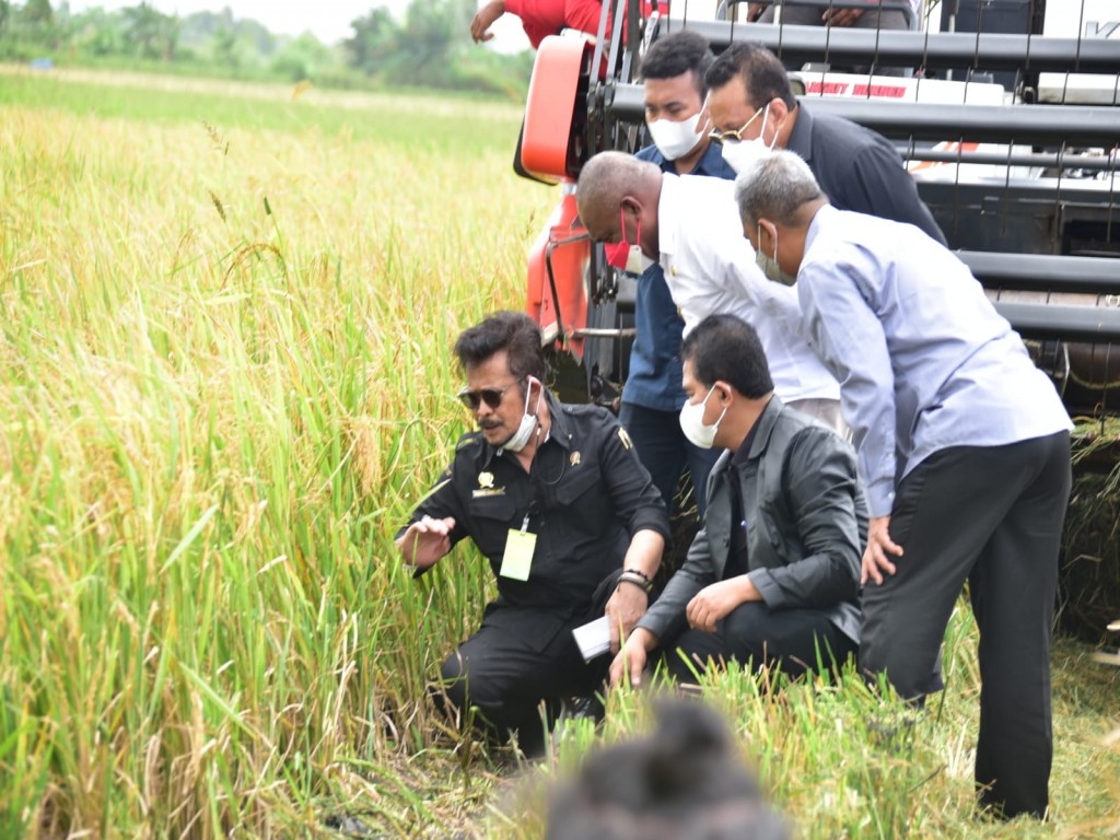 Critical Land Rehabilitation, Ministry of Agriculture Encourages Use of Organic Fertilizer