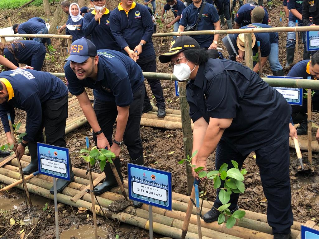 Cegah Abrasi, KLHK Tanam Mangrove di Tujuh Provinsi
