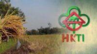 HKTI: Perlu inovasi pertanian hadapi potensi krisis pangan