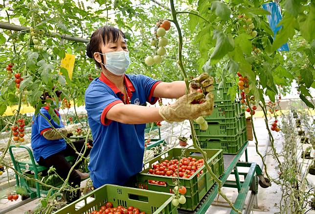 China will increase legal protection of agricultural land