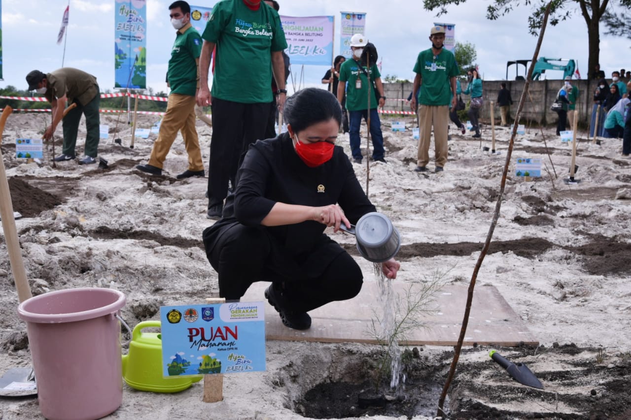 Puan Leads Reforestation in Ex-Mining Land in Babel: Don't Finish It's Sweet After Throwing It away