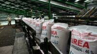 Pupuk Indonesia increases the availability of subsidized fertilizer in line 3