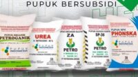 Pupuk Indonesia tingkatkan ketersediaan pupuk subsidi di lini 3