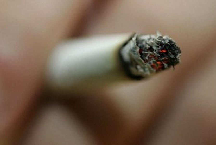 Lembaga riset: Industri rokok sasar anak-anak