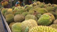 Strange Bin Magic, Thailand Allows Its Citizens to Borrow Money from Banks Using Durian