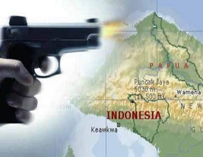 Akademisi Unpad Prof Muradi Minta Pemerintah Tindak Tegas KKB