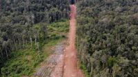KPHP Mukomuko sampaikan teguran ke pelaku jual beli kawasan hutan