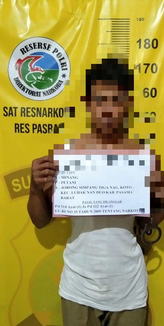 Polres Pasbar Ringkus Seorang Pemuda Pengedar Shabu
