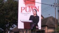PDIP: Survey Results Are Not Our Benchmark