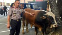 Ternyata Kapolri dan Wakapolri Serahkan 112 Hewan Kurban ke Sejumlah Masjid di Indonesia