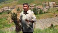 Dirjen Hortikultura: krisis pangan peluang Indonesia ambil peran