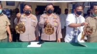 Polairud Polda Sumut tangkap nelayan perdagangkan belangkas