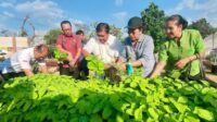 Buleleng dukung ekonomi hijau G20 melalui "Singaraja Smart Agrocity"