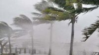 BMKG :Waspada hujan Petir disertai angin kencang Landa Jaksel