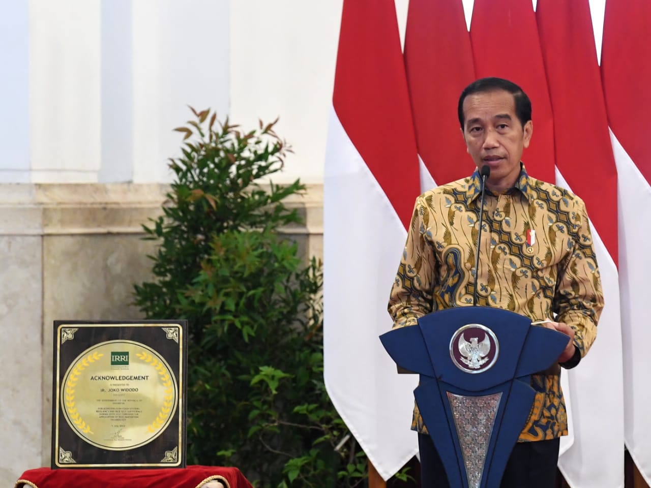 Presiden Tegaskan Komitmen Pemerintah Jamin Ketercukupan Pangan Nasional