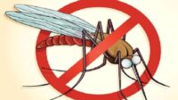 Kemenkes: Peran Masyarakat Tanggulangi Malaria Sangat Penting