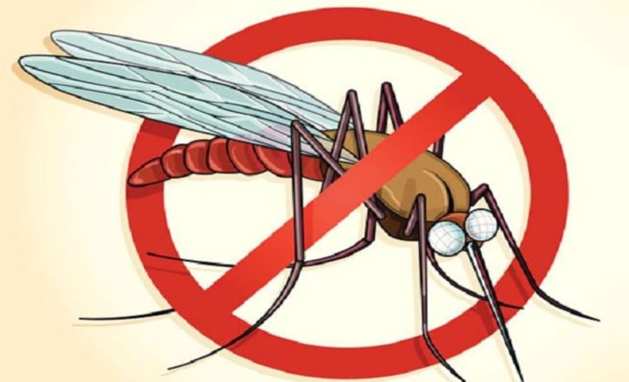 Kemenkes: Peran Masyarakat Tanggulangi Malaria Sangat Penting