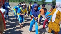 Meriahkan HUT RI Ke 77, SMP Negeri 4 Haltim Juara II Lomba Tarik tambang dan Lari 100 Meter
