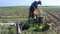 Program Taksi Alsintan untuk Tingkatkan Produksi Pertanian