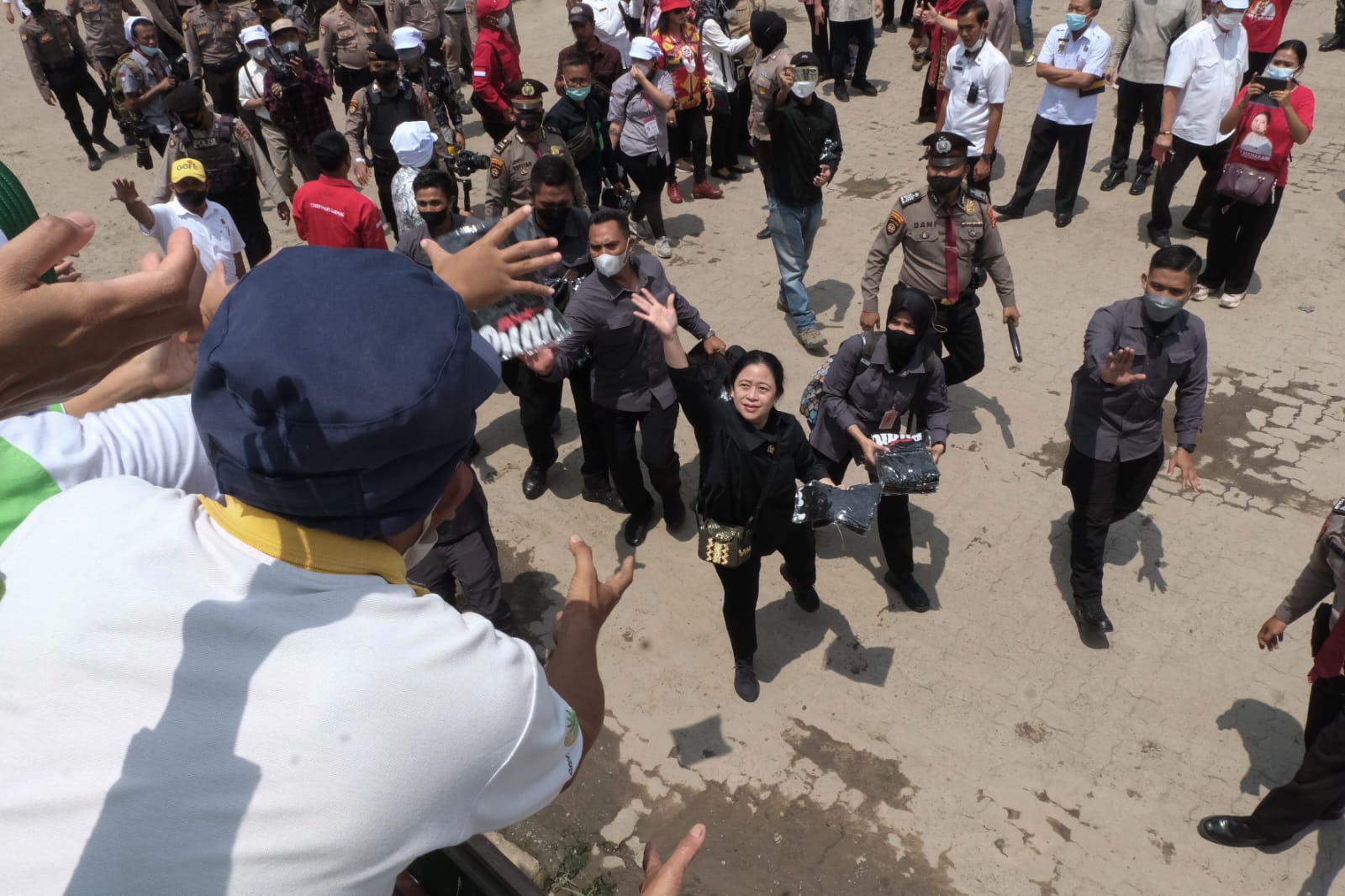 Reviewing Pineapple Industry in Lampung, Puan Reminds Farmers-Companies to Be Synergistic