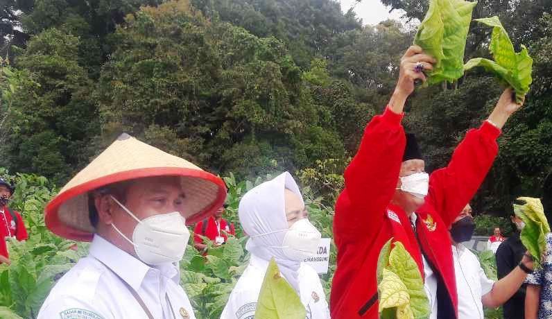 Anggota DPR: Perlu solusi penggunaan pupuk setelah subsidi dicabut