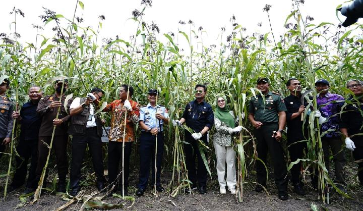 Mentan ajak akselerasi ketahanan pangan nasional dengan sorgum