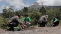 Kementan lakukan Gerakan Tanam Kopi di lereng Merapi Sleman