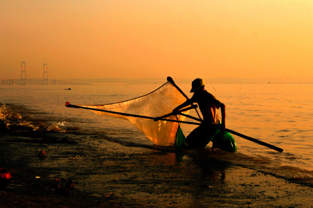 KKP Pastikan Program Revitalisasi Tambak Udang Masih berlanjut