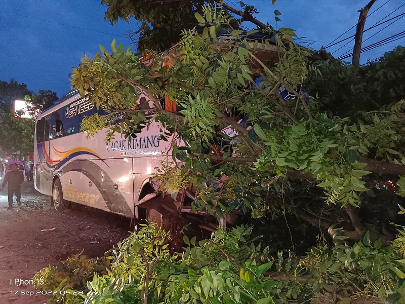 Bus Rombongan Guru SMPN 1 Pelabuhan Ratu Menabrak Pohon di Cikijang Cianjur