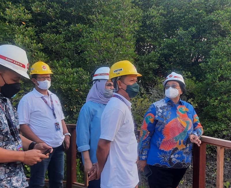 Menteri LHK: Rehabilitasi Mangrove Fokus Pembahasan G20