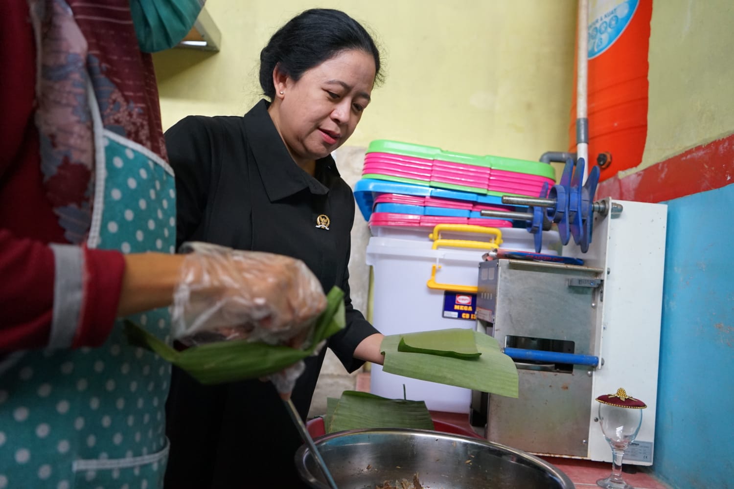 Visiting Fish Crafts Village in Majalengka, Puan Joins to Help Make Presto Milkfish