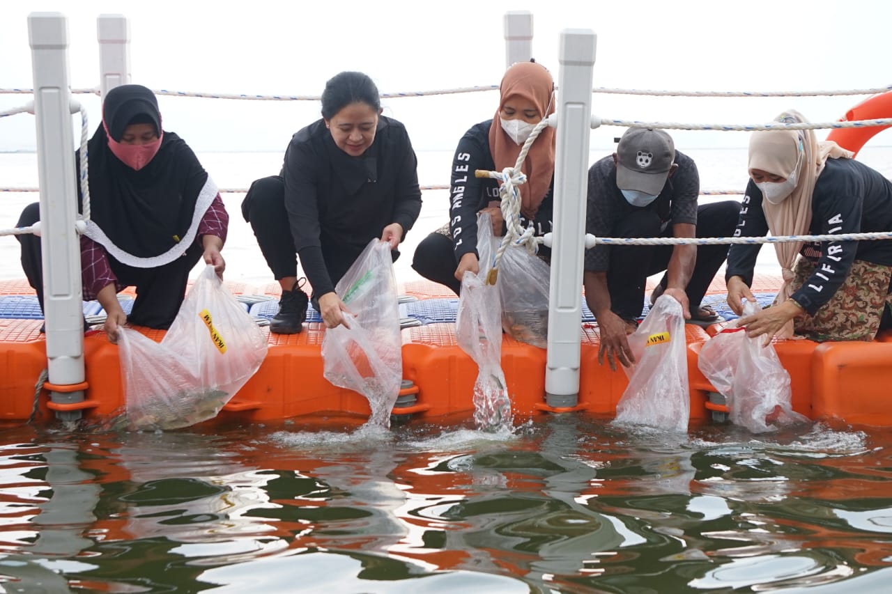 Tebar Benih Ikan, Puan Sebut Waduk Jatiluhur Seperti Lokasi Drakor Crash Landing On You