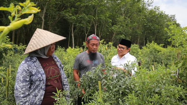 Wakil Ketua DPR: Pupuk bersubsidi harus diperbanyak atasi kelangkaan