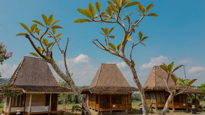 Kemenparekraf: Pengelolaan homestay terpusat di BUMDes