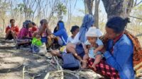 Rumah Dibongkar Paksa Pemda, Anak dan Lansia di Besipae NTT Terpaksa Tidur di Bawah Pohon