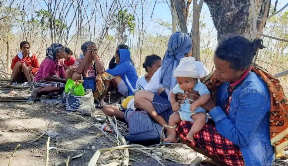 Rumah Dibongkar Paksa Pemda, Anak dan Lansia di Besipae NTT Terpaksa Tidur di Bawah Pohon